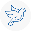 Bird Prevention Mole Valley