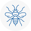 Mole Valley Hornet Nest Removals