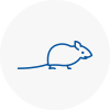 Mice Exterminators In Mole Valley