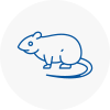 Rat Control Mole Valley