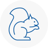 Mole Valley Rodent Removals