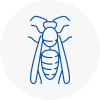 Mole Valley Wasp Nest Removal